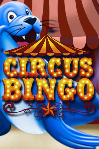 Демо версия игры Circus Bingo | VAVADA BY 