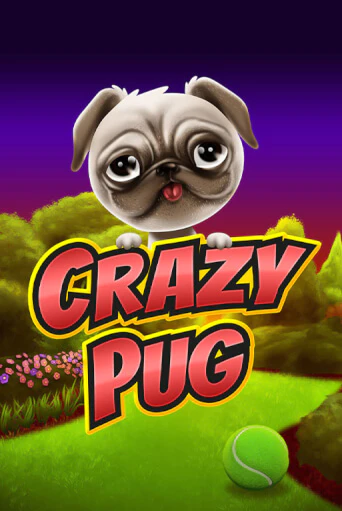 Демо версия игры Crazy Pug | VAVADA BY 