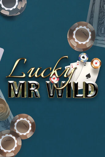 Демо версия игры Lucky Mr. Wild | VAVADA BY 