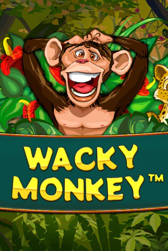 Демо версия игры Wacky Monkey | VAVADA BY 