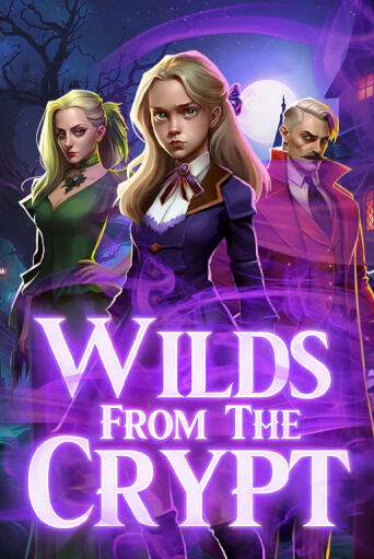 Демо версия игры Wilds from the Crypt | VAVADA BY 