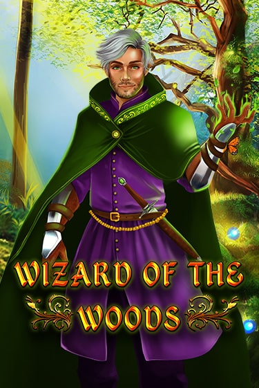 Демо версия игры Wizard of the Woods | VAVADA BY 