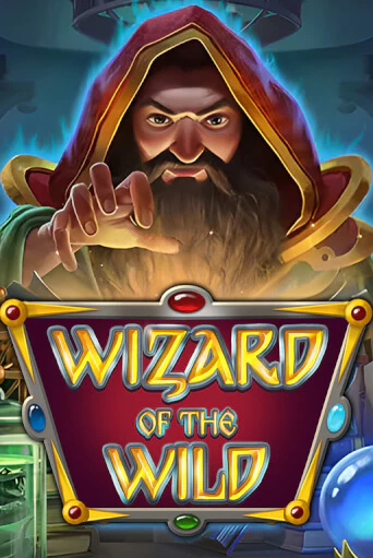 Демо версия игры Wizard of the Wild | VAVADA BY 